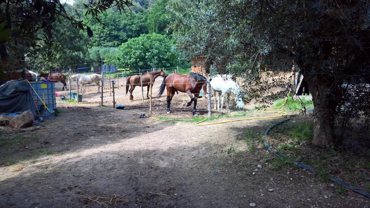 Baie Des Anges Appartement Bis Villeneuve-Loubet Kültér fotó